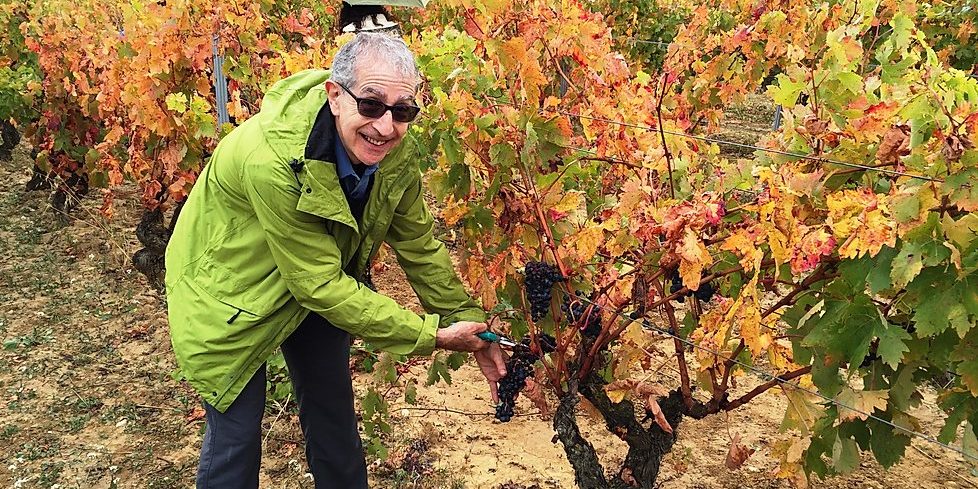 Bruce, harvesting in Rioja